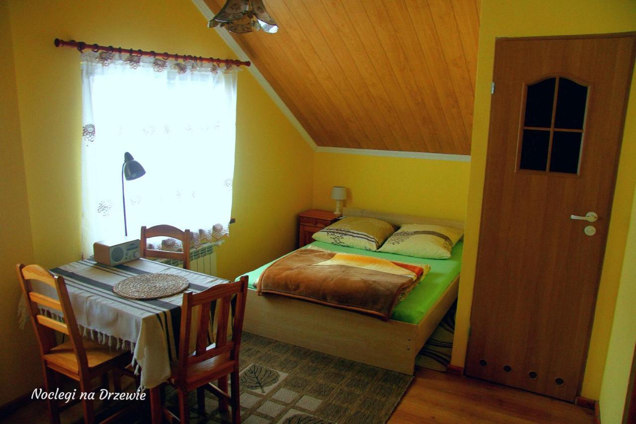 Noclegi Na Drzewie Cisna Buitenkant foto